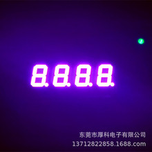 רҵ���� LED����� 0.4��4λ ���� ����  �Ϲ������