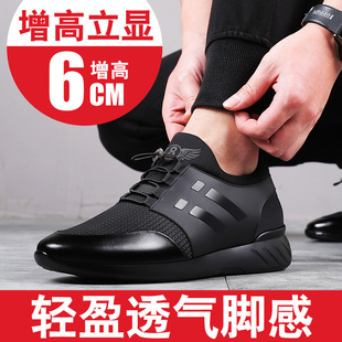 ��ʿ���������e��Ь��Ƥ��ʿ�n���[�΃�����ƤЬ6cm�n������Ь8cm