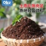 养花家用源头草莓瓜果
