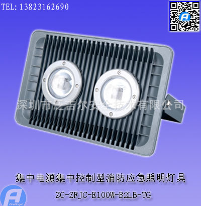 ZC-ZFJC-E100W-B2LB-TGеԴпӦƾ