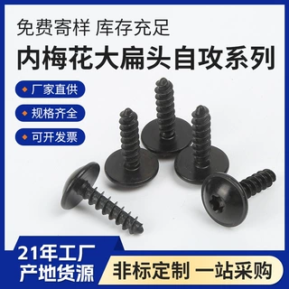 厂家供应梅花槽大扁头自攻螺丝梅花槽盘头圆头自攻螺钉非标定制