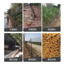 加厚养鸡养鸭塑料养殖专用网围栏网防护隔离网动物防逃网网玉米网