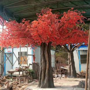 ����t�������a�����S����ʽ�L����҃��쾰�b����٘���
