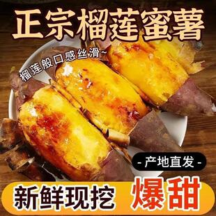 �����ɏ�����������ļt�������ڽz������ܛŴ�t�����ع����r�F��