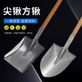 铲子;油灰刀;锹