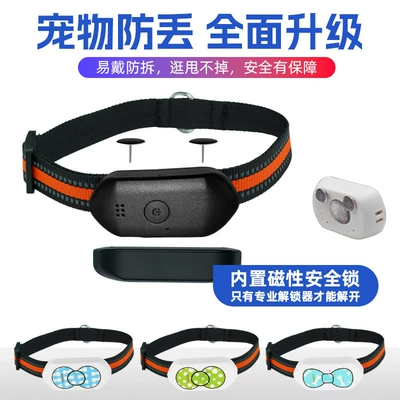 Collar to Prevent Lost Dogs | GPS Locator
