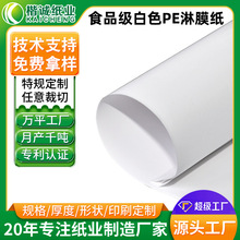 防水防油白色PE淋膜纸厂家 食品级快餐包装袋白色包装纸卷材批发