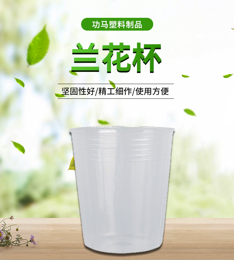 兰花杯,透明花盆,蝴蝶兰花盆