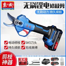 �|��늼������ʽ��֦��@�ֹ�������늼��Ӵ֘�֦���C�|��