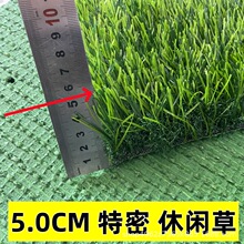 5CM4CM�����غ����e��ƺ�׃��@���������ƺ�Θ���¶�I�ؼٲݵ�̺
