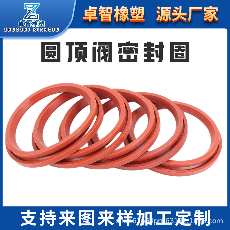 圆顶阀密封圈切换阀密封圈电厂圆顶阀密封圈插入式切换阀密封圈