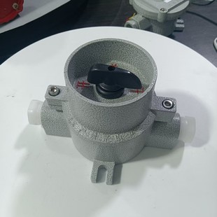 IIC ���������_�P