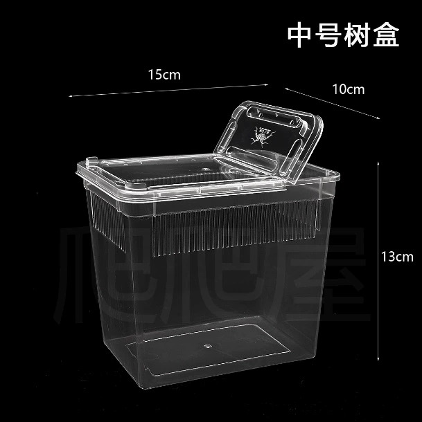 Среднеземное дерево рептилий ящик для кормления ящик для кормления шелкопряда