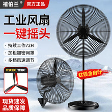 ���I����L�ȏ������ȴ��������ţ���L�����ÏS܇�g���L���L��