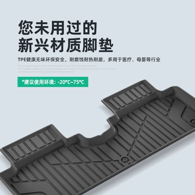 Special Tpe Floor Mats, Modelə uyğun ayaqaltı