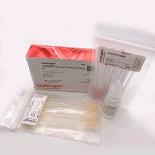 Invitrogen L13152 LIVE/DEAD™ BacLight™ 细菌活力检测试剂盒-阿里巴巴