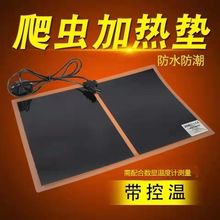 �ӟ�|�����،m�����~�����ӟ�}���߼ľ�з�a����a�؜ؿ�ȡů��