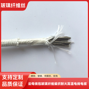 �ĸ�@�������w�S�����ͻ�ߜ�늾���|