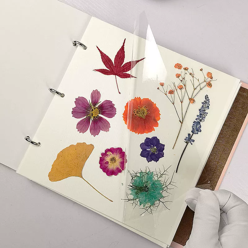 Образец, система хранения для студентов, творческий фотоколлекция альбом handmade, DIY