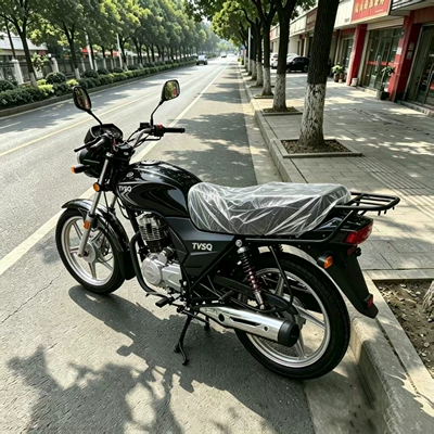 Two-Wheeled Vehicles for Long-Distance Riding, Suitable for Commuting in Urban and Rural Areas, Carrying Goods in Markets, and Fuel-Powered Motorcycles That Can Easily Carry Heavy Loads and Climb Long (Motosikletlər)