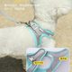 Dog Leash cat dog rope vest chest strap breathable comfortable small dog Teddy pet dog walking rope