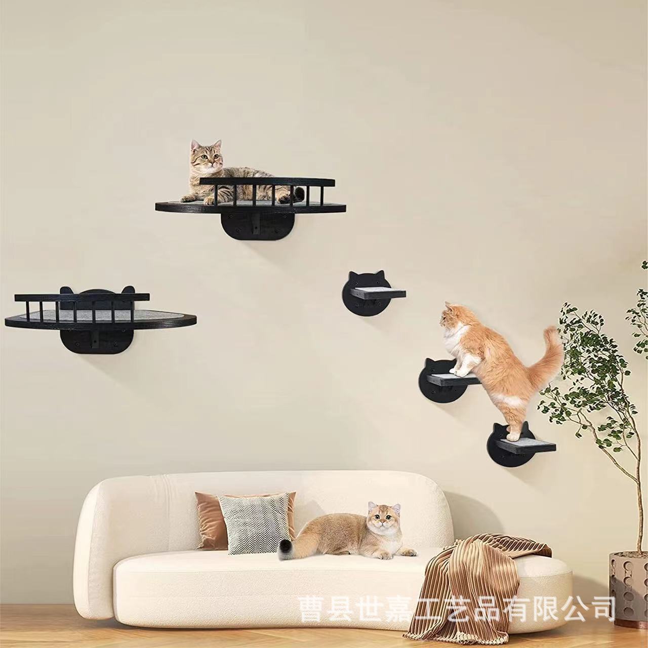 微信图片_20240727090444