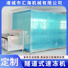 隧道式液氮大虾速冻机商用蓝莓黄桃速冻生产线水饺食品速冻设备