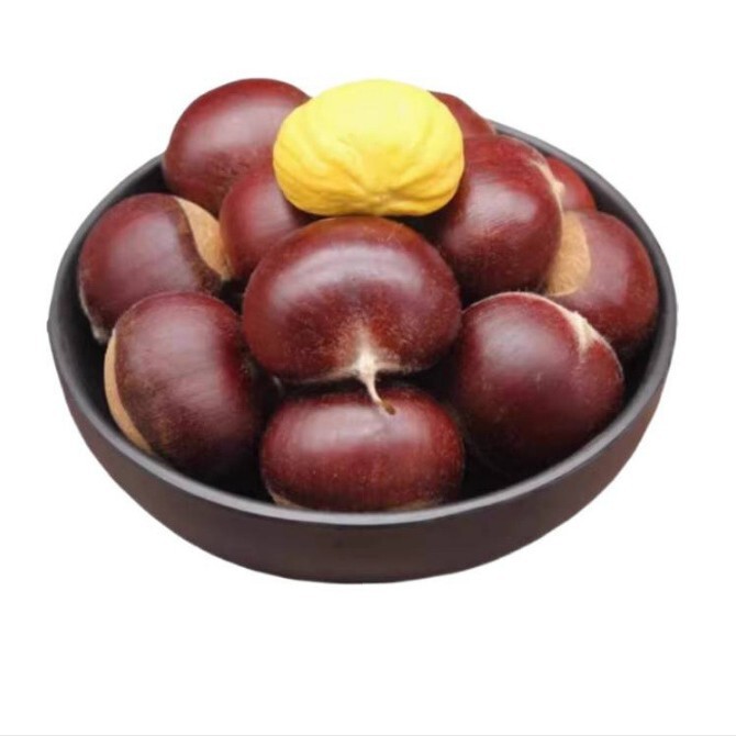 Fresh Dandong Chestnuts, Fresh Chestnuts, Tender Large Chestnuts, Wild Qianxi Chestnuts, Oil Chestnuts Fresh Dandong Chestnuts, Fresh Chestnuts, Tender Large Chestnuts, Wild Qianxi Chestnuts, Oil Chestnuts