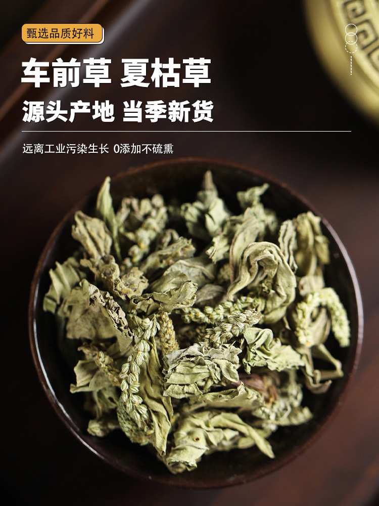 Plantain Herb and Selfheal Blend Che Qian Cao Xia Ku Cao Traditional Herbal Tea 10g overview