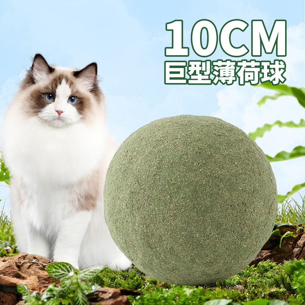 10cm gato menta bola molar juguetes gatos sonoros palo de gato auto-hi madera tibia palo molar artículos de mascotas al por mayor