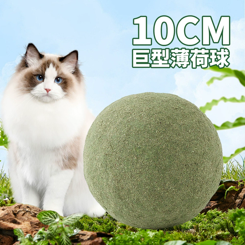 10 см кошачья мята мяч моляры звук кошка игрушка кошачья палка с Hi Polygonum Kappa molars товары для домашних животных оптом