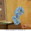 Star Hydrangea