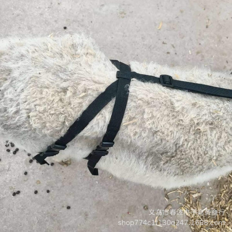 Correa de pecho de oveja para evitar que el pecho de oveja se hunda sobretodo pecho de oveja