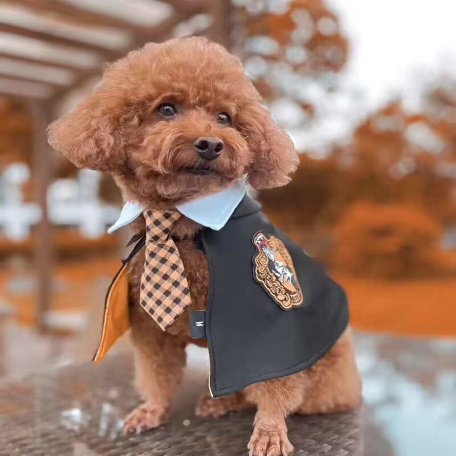 Pet Harry Potter magic cloak Internet celebrity cloak embroidered spring and autumn clothing dog shawl cat COS clothing trendy
