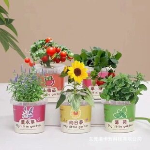 С�W����Ʒ�_�IٛƷ�Gֲ��ͯ���׃��@ȫ������Y������С����diy