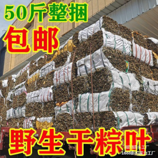 Factory Wild Dried Zongye Zongzi Leaf Dragon Boat Festival Package Zongzi Zongye Wholesale Jin Commercial Dragon Boat Festival Wild Large Size