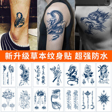����ֱӪ�ݱ�������ֲ������÷�ˮ������֭�ֻ�������ֽ����ɫ��