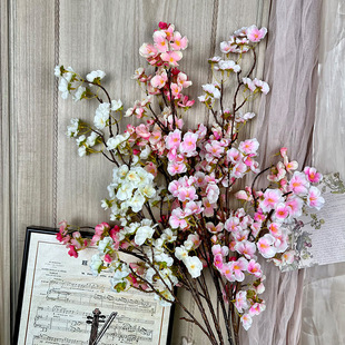 ����ָ����ٻ�����Ʒ���콁����c�����û��߼��쾰��Y����