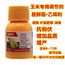 ���׌��ÿ��������a�{���������߼t���r֬��ϩ�����Ӹ�ϵ�։��rș