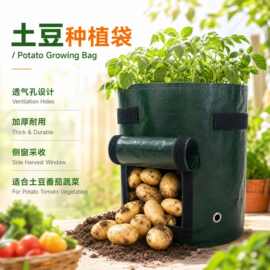 土豆种植袋 种植袋 土豆袋蔬菜水果番茄美植袋种植袋 PE土豆种植