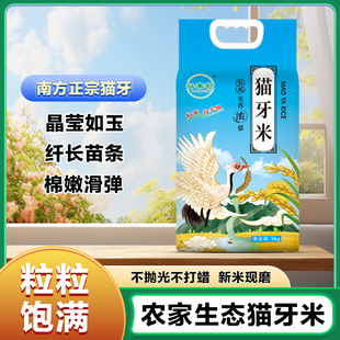 �����ס��L��������L������؈���z������������L�ׇ��x�����b