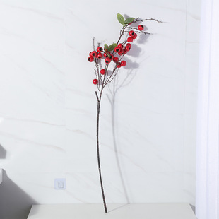 �F؛����ʯ����� �ɹ���֦���ϻ� ����ֲ����~�������ϻ����l