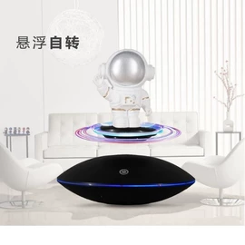 塑料工艺品;教学演示用品;其他装饰摆件