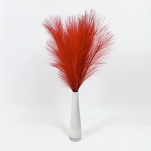 �����JȔ55CM  ���R�d�羳���W pampas grass�b� ��������JȔ��