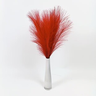 �����JȔ55CM  ���R�d�羳���W pampas grass�b� ��������JȔ��