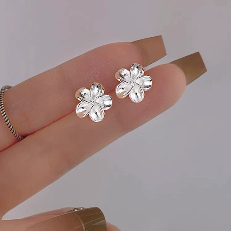 Серьги, маленький дизайн браслета из серебра, проба серебра 999