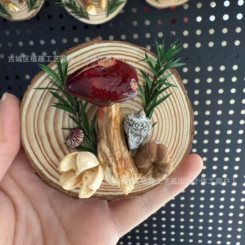 云南真蘑菇冰箱贴菌子真植物果实木头标本装饰手工创意工艺品滴胶|undefined