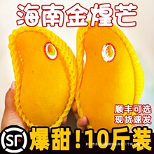 ���Ͻ��â��10�����rˮ��â��������ˮ���ش�Ꭷâ����������]