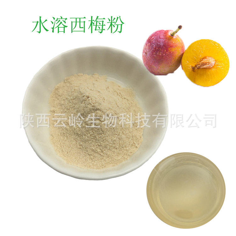 SC厂家批发西梅果粉水溶西梅粉果蔬粉奶茶蛋糕面条月饼固体饮料