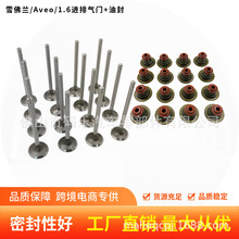 适用Chevrolet Aveo 1.6 16V庞蒂亚克G3进气阀排气阀气门油封套件